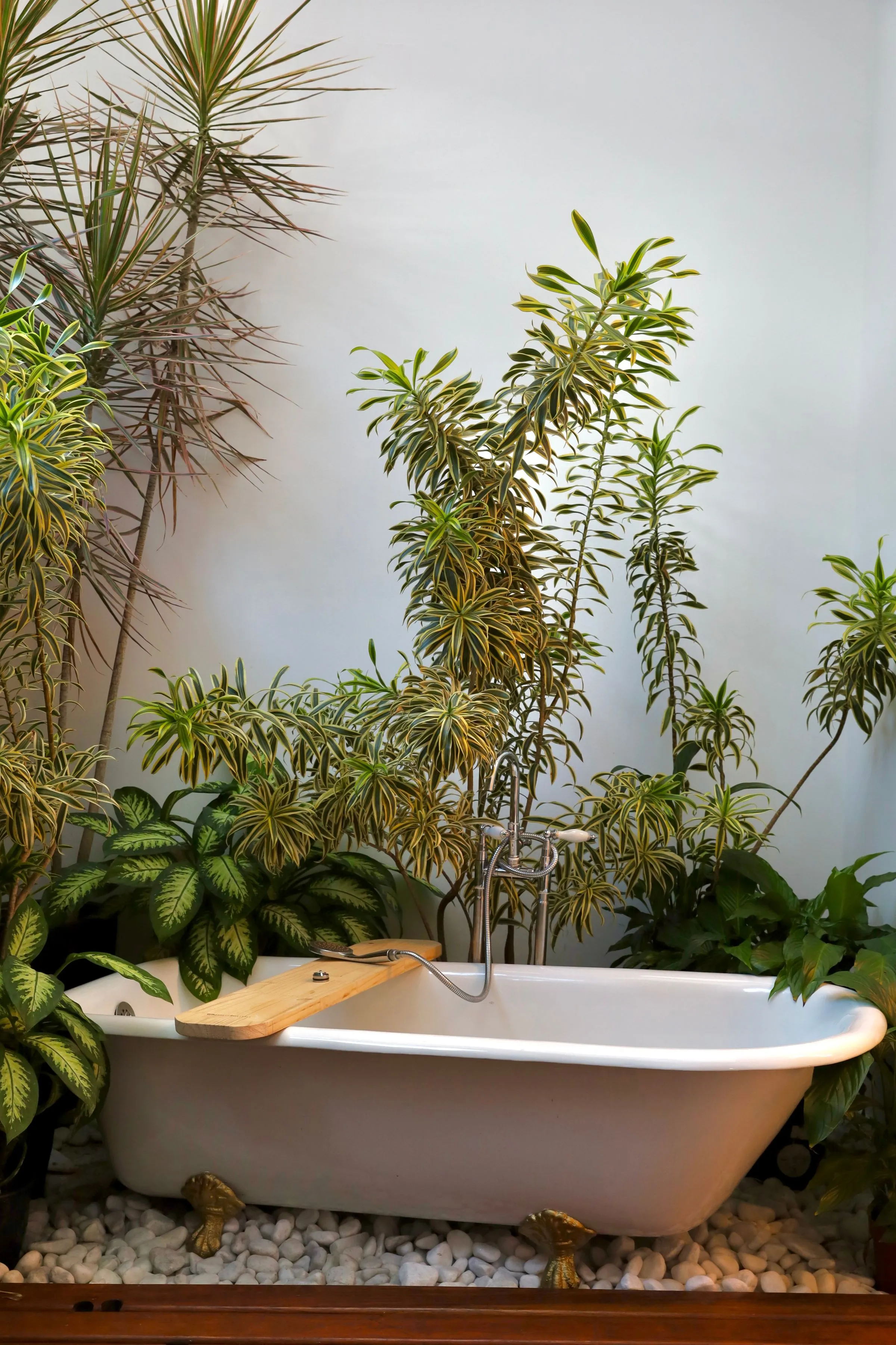 A freestanding bath surrounded by tall green plants in a bright white room